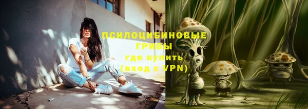 прущие грибы Козельск