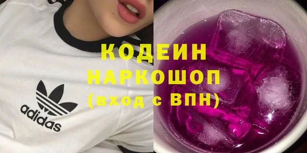 прущие грибы Коряжма