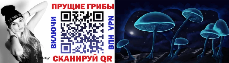 мега tor  Краснозаводск  Галлюциногенные грибы мухоморы 
